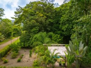 DJI_20240720094823_0144_D