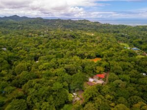 DJI_20240720100525_0161_D