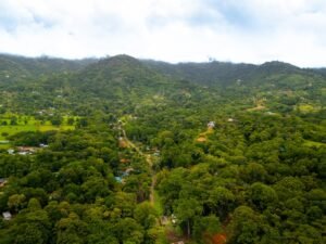 DJI_20240720100629_0162_D