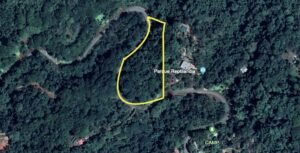 Image 1-15-24 at 10.10 AM