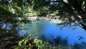 PHOTO-2024-01-03-16-36-29