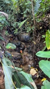 PHOTO-2024-01-03-16-36-29(1)