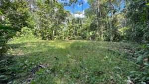 PHOTO-2024-01-03-16-36-29(4)