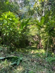 PHOTO-2024-01-03-16-37-29