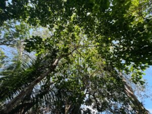 PHOTO-2024-01-03-16-37-29(2)