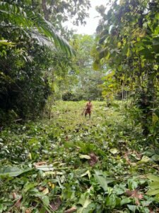 PHOTO-2024-01-03-16-37-29(4)