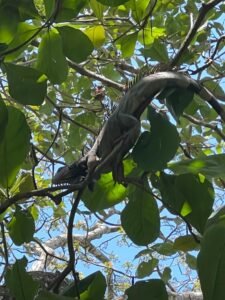 PHOTO-2024-01-03-16-41-41