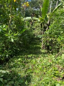 PHOTO-2024-01-03-16-42-48