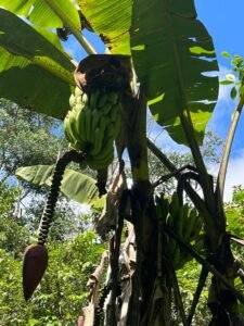 PHOTO-2024-01-03-16-42-56