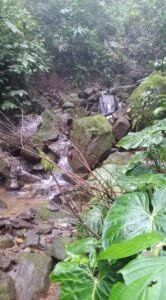 River running the lands western boundary