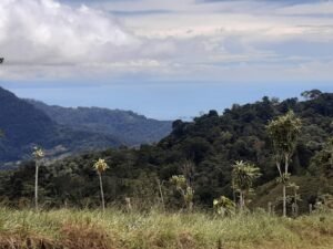 Views to Drake Bay 1