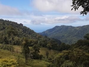 Views to Uvitas Playa Hermosa