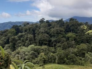 Wandering the land (1)