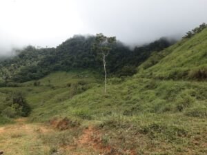 Wandering the land (12)