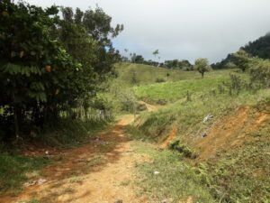 Wandering the land (16)