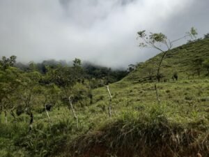 Wandering the land (18)