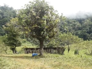 Wandering the land (19)