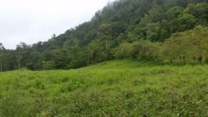 Wandering the land (2)