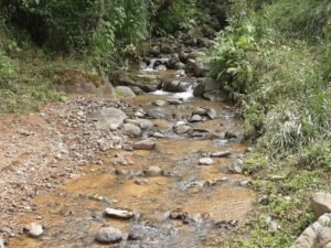 Wandering the land (22)