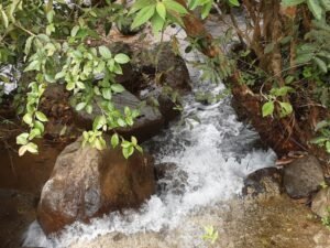 Wandering the land (23)