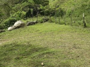 Wandering the land (25)