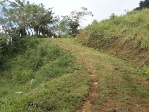 Wandering the land (26)