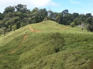 Wandering the land (27)