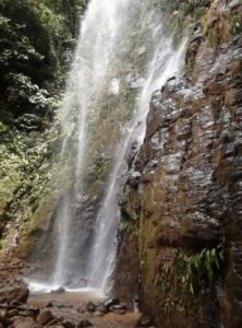 Wandering the land (40)