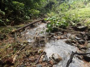 Wandering the land (41)