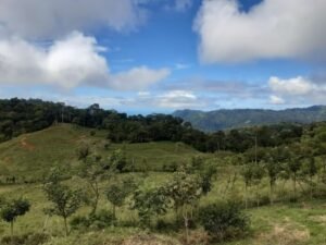 Wandering the land (42)