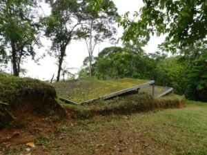 Wandering the land (6)