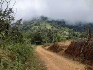 Wandering the land (8)