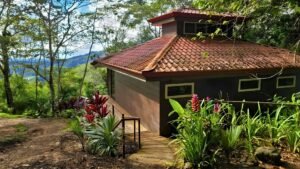 xr:d:DAF1HtmWCZ4:35,j:7218554558856528543,t:23112500