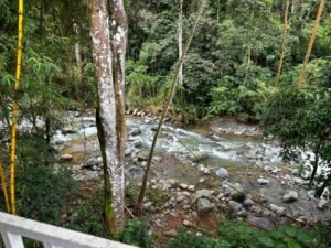 c3dc176c-cfbd-435a-b71b-0882a94f0749