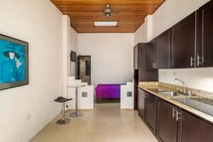 c795cea0-2262-45cb-b2df-9afa48b55932