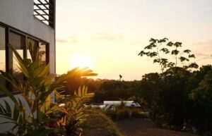 d143b73e-c91f-4132-a089-3751757cc0eb