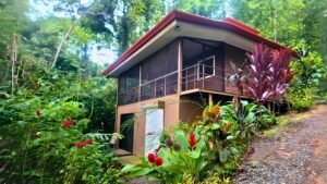 xr:d:DAF1HtmWCZ4:18,j:2920994612706046079,t:23112423