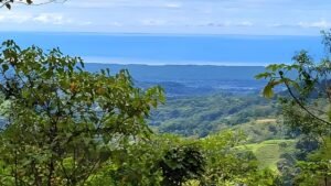 xr:d:DAF1HtmWCZ4:77,j:8765541035985783639,t:23112501