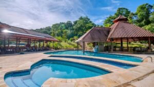 xr:d:DAF1HtmWCZ4:86,j:3025703313557974840,t:23112502