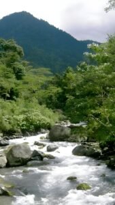 xr:d:DAF2tHVInCE:14,j:5763894105934191338,t:23121614