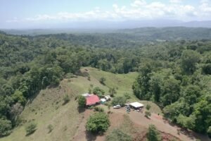 screen_0d91ba32f61e209d_1683740336855