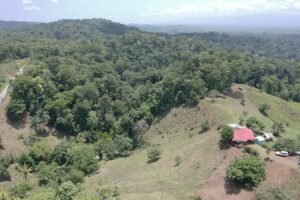 screen_382d19b3d5be33ab_1683740343296