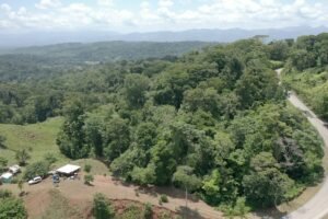 screen_73d99fbae124e587_1683740332781