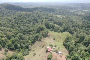 screen_ea7bbfc9bf80e87f_1683740268404