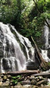 xr:d:DAF1IgKX-kg:2,j:3025703315803911001,t:23112502