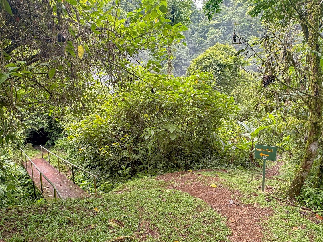 A bridge crossing over a creek. The path is well-worn and well-marked - you will not get lost 