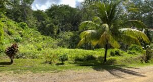 Property For Sale in Ojochal Costa Rica