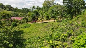 Property For Sale in Ojochal Costa Rica
