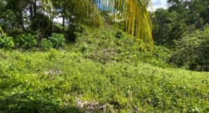 Property For Sale in Ojochal Costa Rica