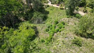 Property For Sale in Ojochal Costa Rica